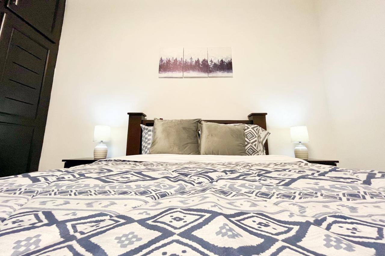 Viva Guest House サンホセ エクステリア 写真