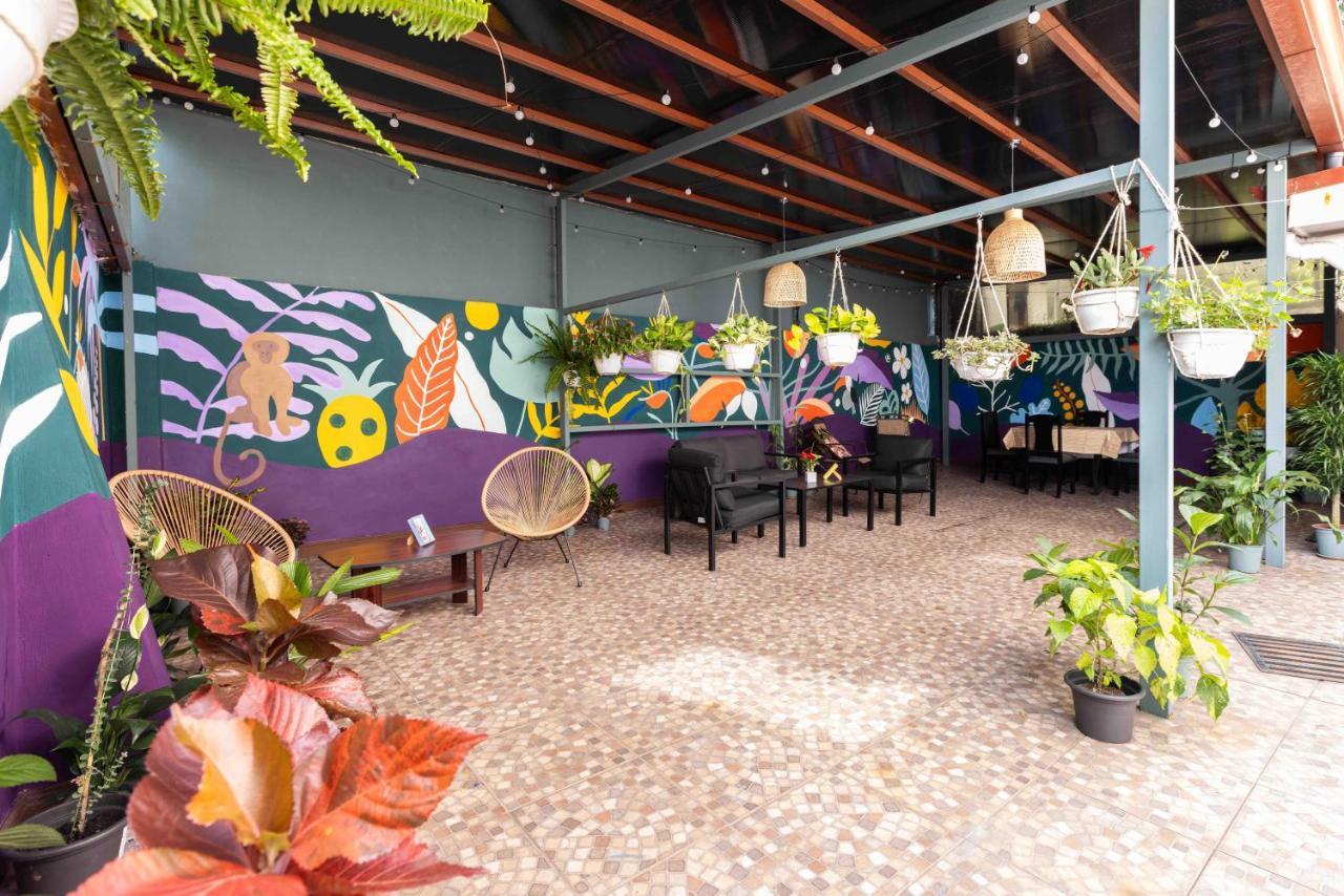 Viva Guest House サンホセ エクステリア 写真