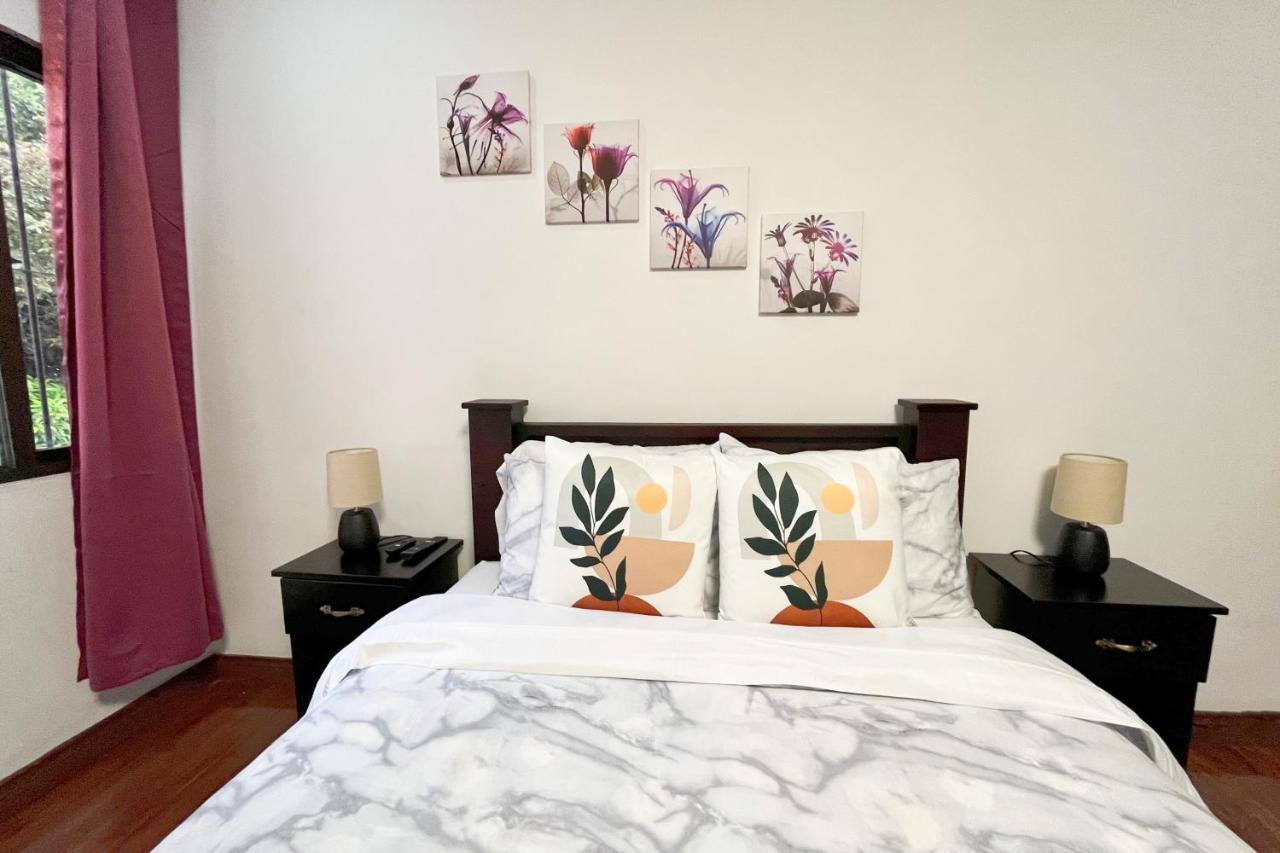Viva Guest House サンホセ エクステリア 写真